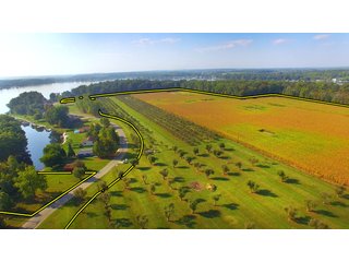 Property photo 1 - REAL ESTATE AUCTION - 495+/- ACRES OFFERED IN 19 TRACTS IN BRANCH COUNTY, MICHIGAN